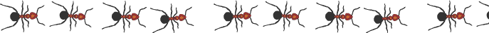 ants-border-horz02