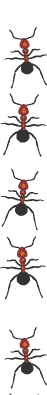 ants-borderv-vert ants-borderv-vert